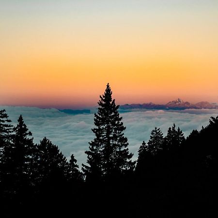 Tree House Alpinka Krvavec Villa Cerklje na Gorenjskem Dış mekan fotoğraf