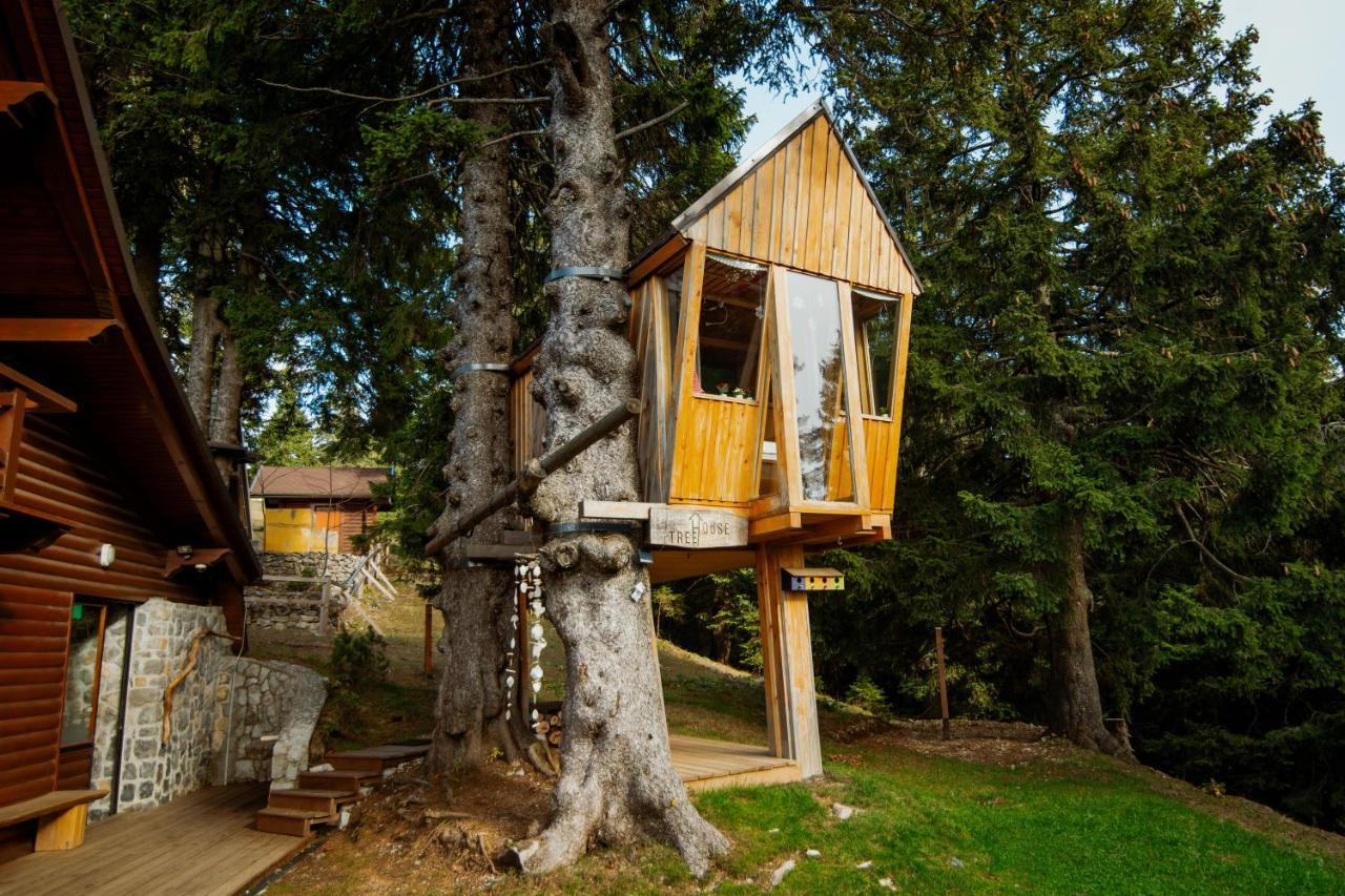 Tree House Alpinka Krvavec Villa Cerklje na Gorenjskem Dış mekan fotoğraf