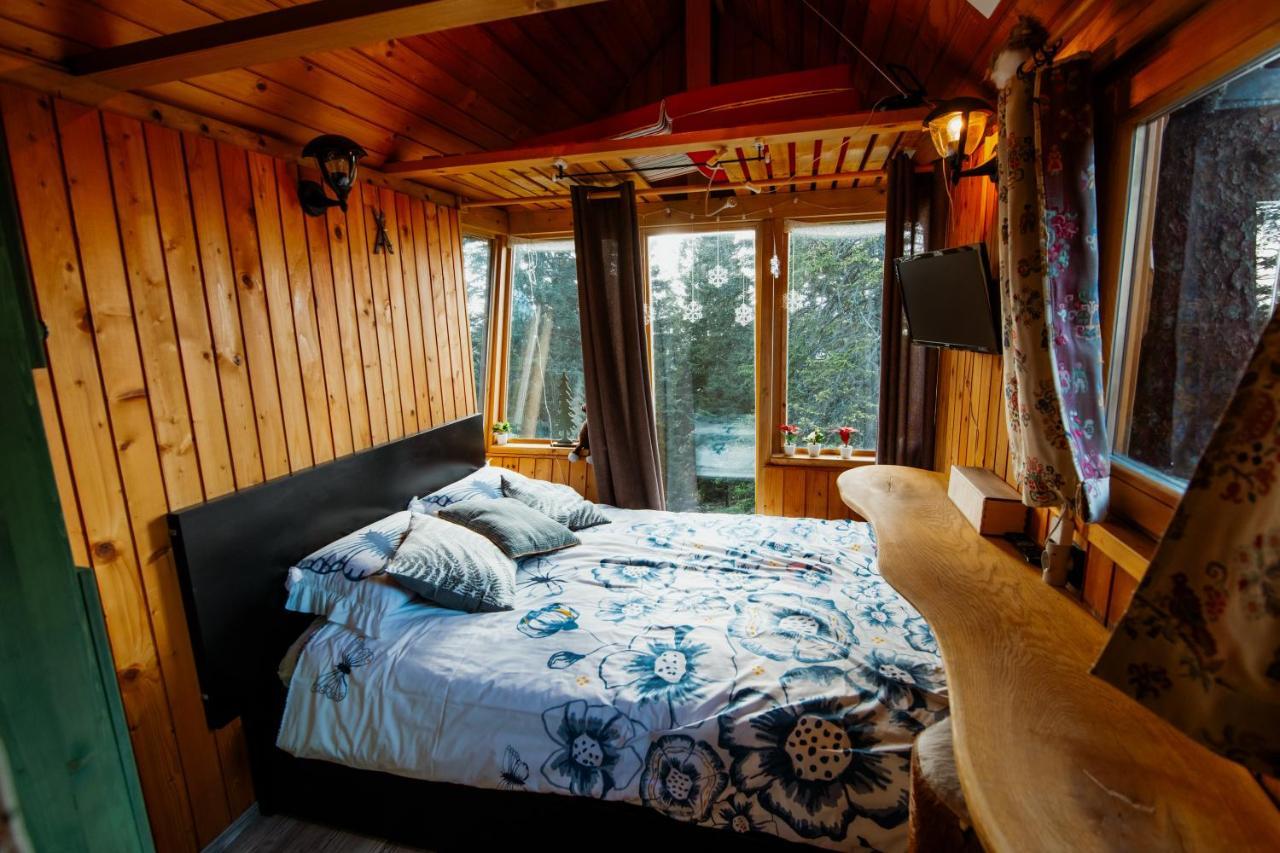 Tree House Alpinka Krvavec Villa Cerklje na Gorenjskem Dış mekan fotoğraf