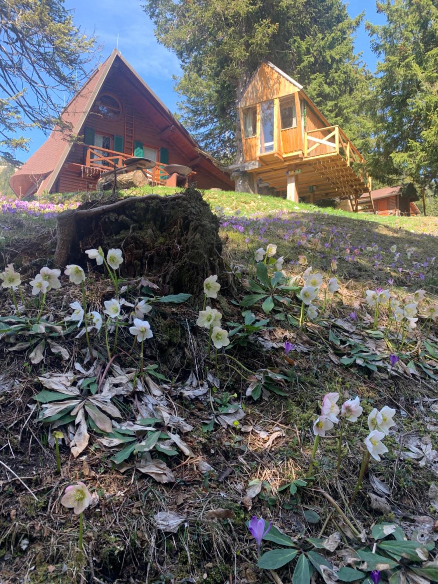 Tree House Alpinka Krvavec Villa Cerklje na Gorenjskem Dış mekan fotoğraf